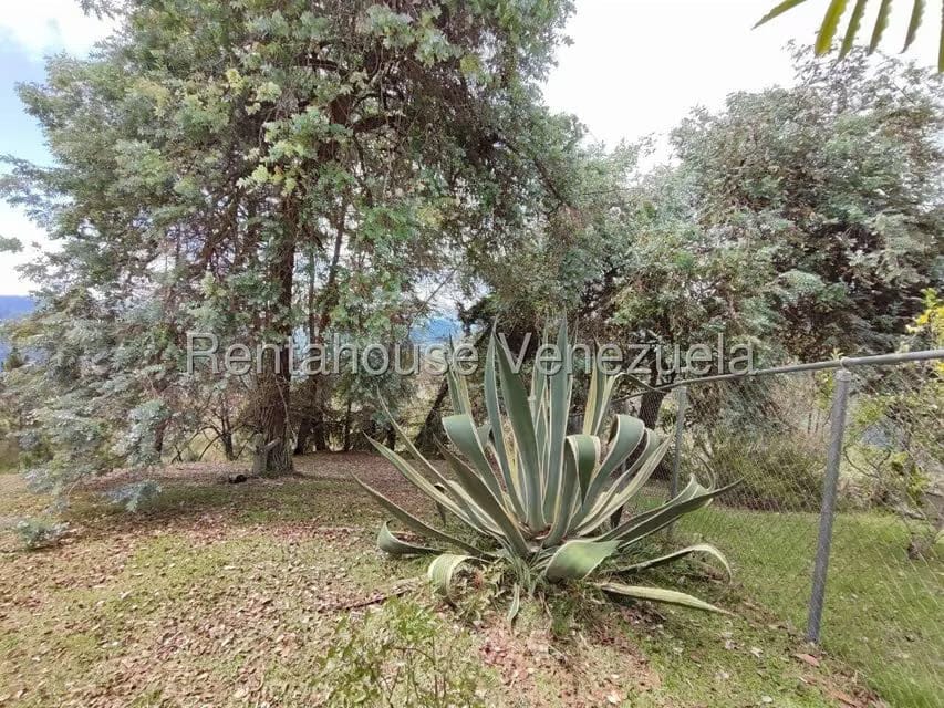 Casa (Duplex) en Venta en La Colonia Tovar, Aragua - 39