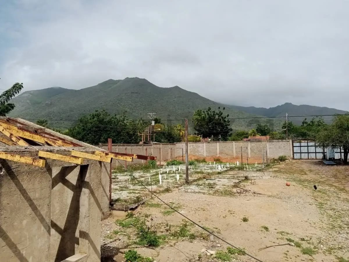TERRENO EL HATO CON PROYECTO 10 VIVIENDAS UNIFAMILIARES,GUACUCO,MARGARITA - 13