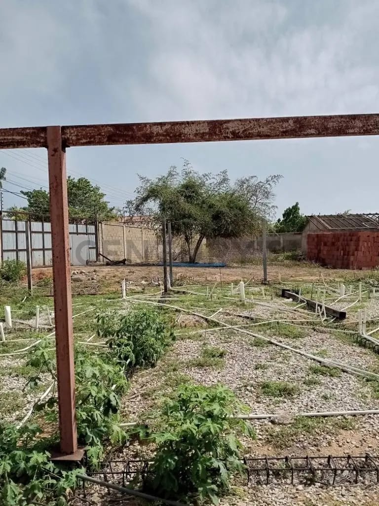 TERRENO EL HATO CON PROYECTO 10 VIVIENDAS UNIFAMILIARES,GUACUCO,MARGARITA - 24