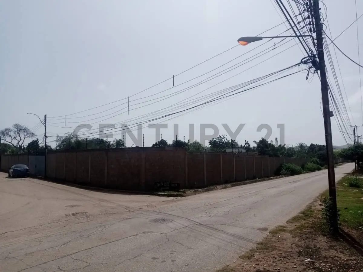 TERRENO EL HATO CON PROYECTO 10 VIVIENDAS UNIFAMILIARES,GUACUCO,MARGARITA - 4