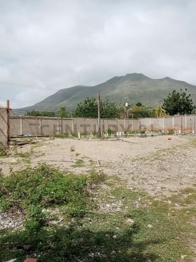TERRENO EL HATO CON PROYECTO 10 VIVIENDAS UNIFAMILIARES,GUACUCO,MARGARITA - 36