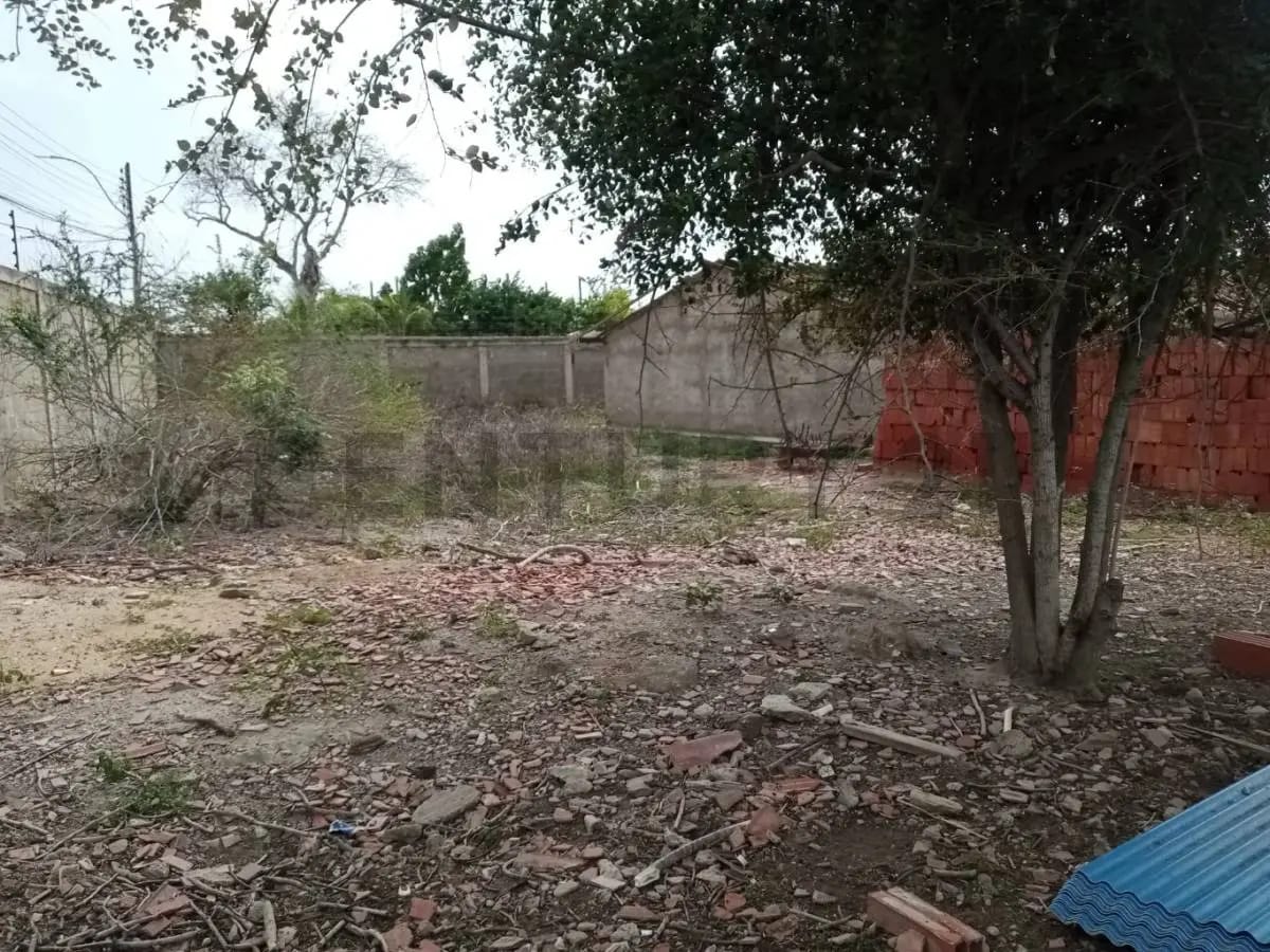 TERRENO EL HATO CON PROYECTO 10 VIVIENDAS UNIFAMILIARES,GUACUCO,MARGARITA - 37