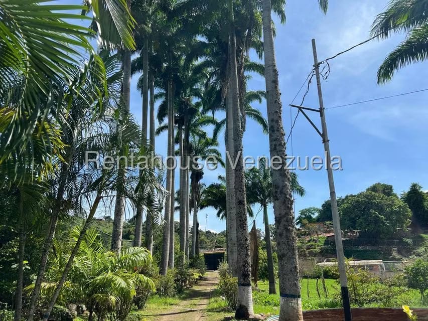 Terreno (Finca) en Venta en Municipio Moran, Lara - 17
