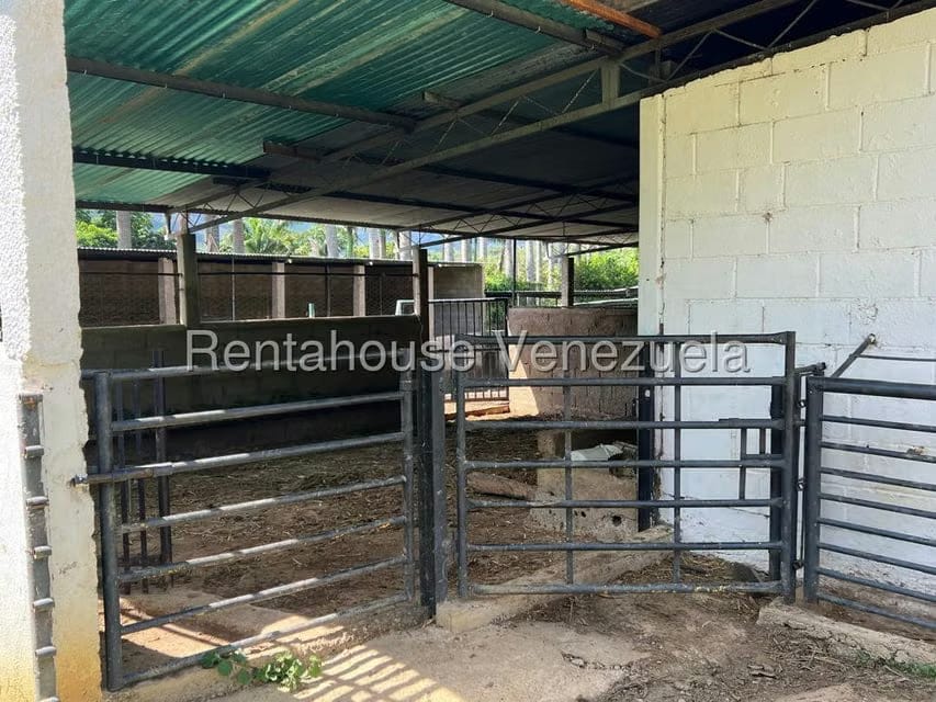 Terreno (Finca) en Venta en Municipio Moran, Lara - 19