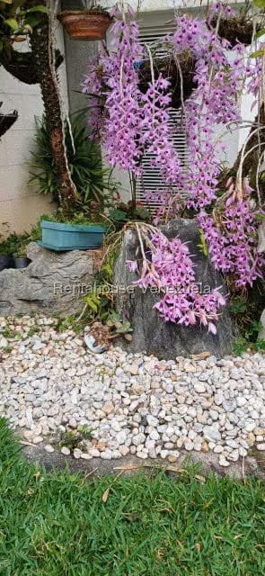 Casa (Multipes Niveles) en Venta en Colinas del Tamanaco, Distrito Metropolitano - 52