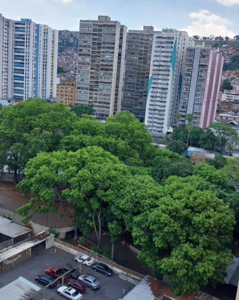 PENT HOUSE DE 241m2 con 4 P.E. en Callejón Machado. Urb.El Paraíso. Caracas. - 19