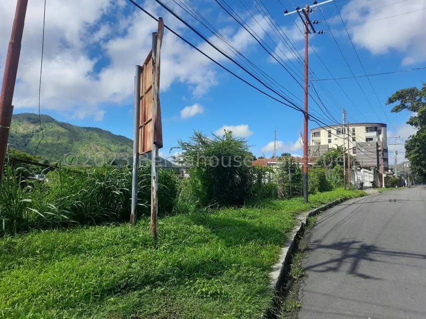 Terreno (Comercial) en Venta en Antonio Miguel Martinez, Guarico - 2