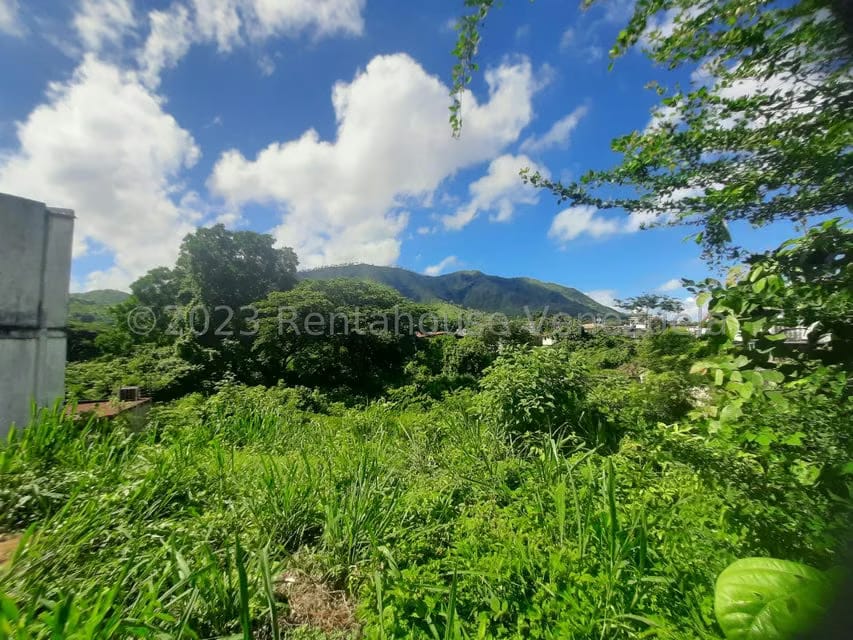 Terreno (Comercial) en Venta en Antonio Miguel Martinez, Guarico - 6