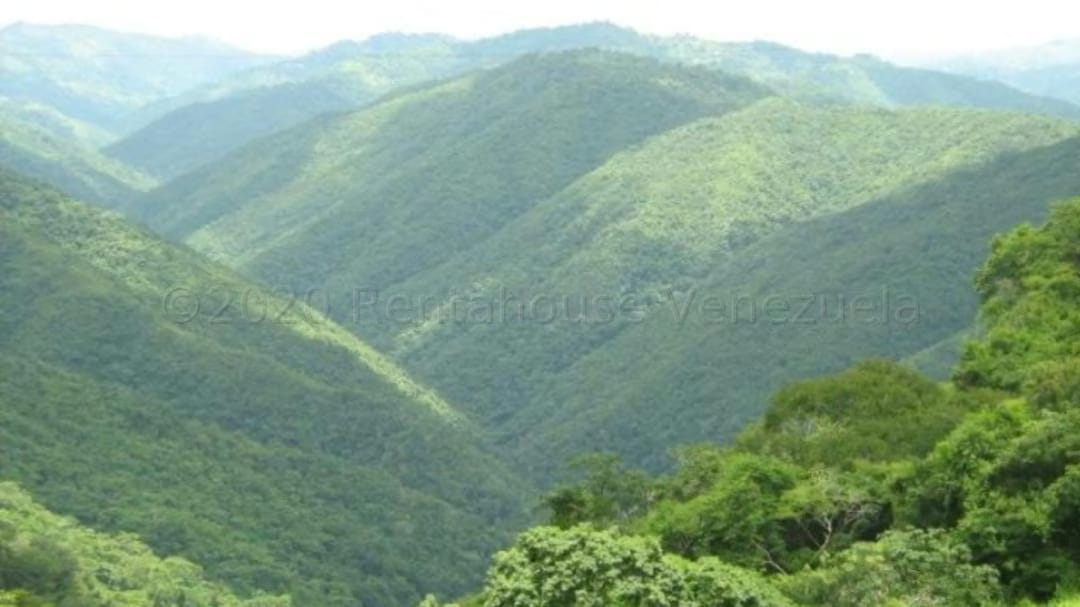 Terreno (Residencial) en Venta en El Hatillo, Distrito Metropolitano