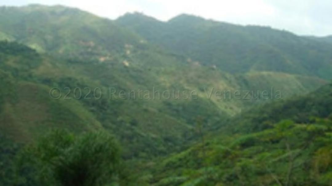Terreno (Residencial) en Venta en El Hatillo, Distrito Metropolitano - 3