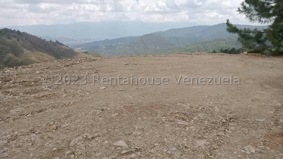 Terreno (Comercial) en Venta en Potrerito, Miranda - 5