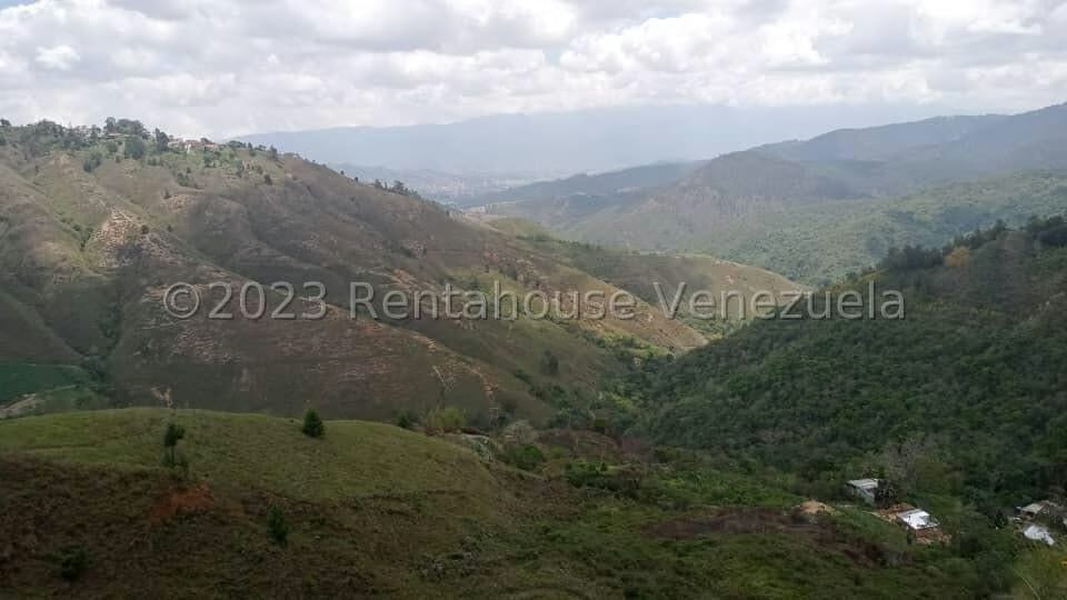 Terreno (Comercial) en Venta en Potrerito, Miranda - 7