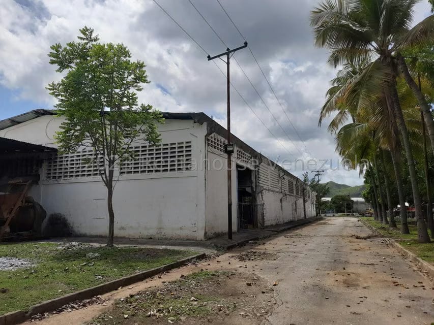 Comercial (Galpon - Deposito) en Venta en Zona Industrial, Guarico - 31