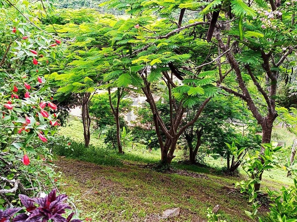 LOS CAMPITOS Hermosa casa de una sola planta y 5.000mt2 de terreno. - 20