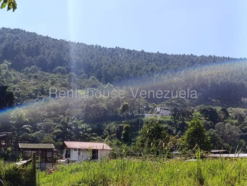 Casa (Casas de Campo) en Venta en Salado Bajo, Merida - 71