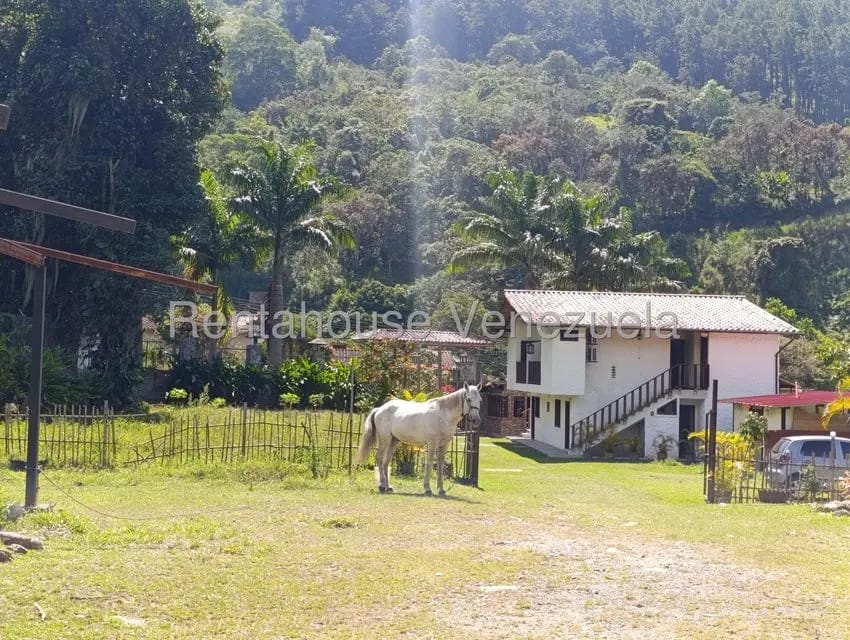 Casa (Casas de Campo) en Venta en Salado Bajo, Merida - 73
