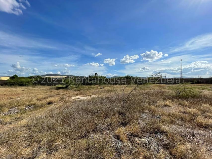 Terreno (Comercial) en Venta en La Velita, Falcon - 5