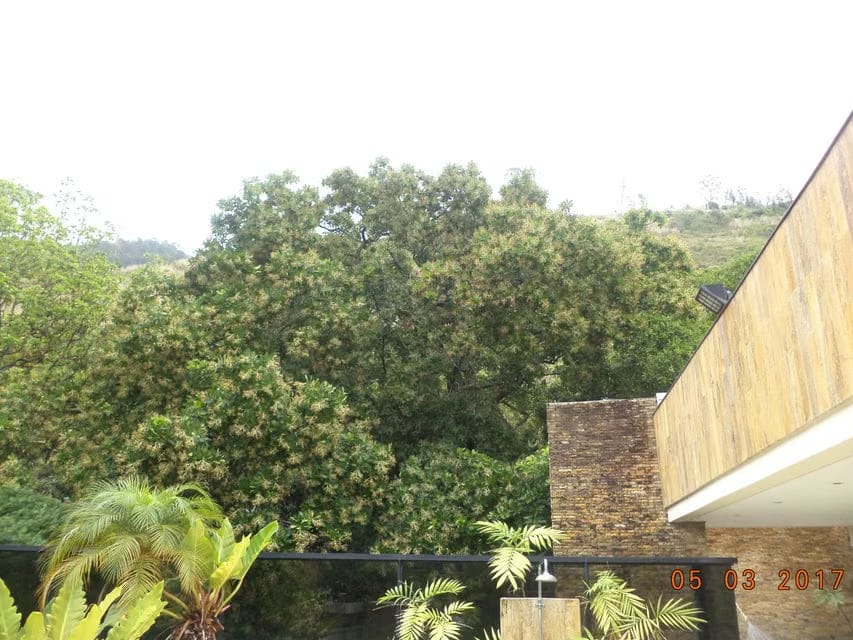 Apartamento (Multiples Niveles) en Venta en Los Chorros, Distrito Metropolitano - 40