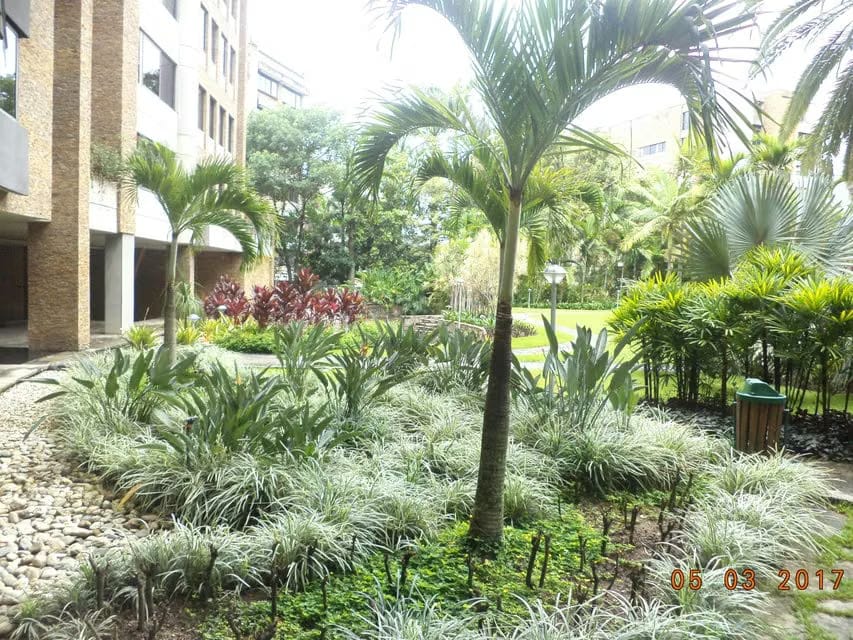 Apartamento (Multiples Niveles) en Venta en Los Chorros, Distrito Metropolitano - 79