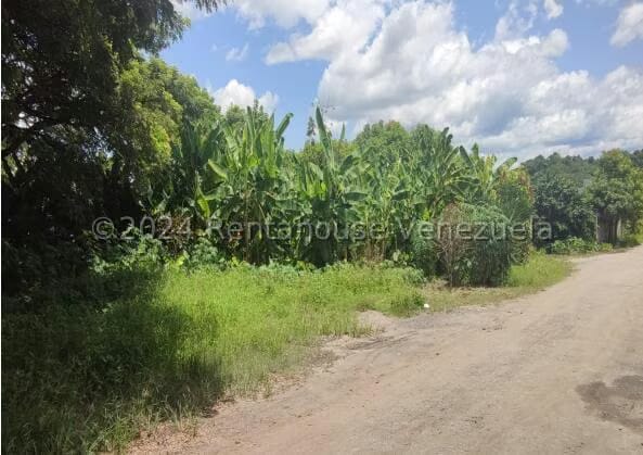 Terreno (Industrial) en Venta en Terrinca, Miranda - 2