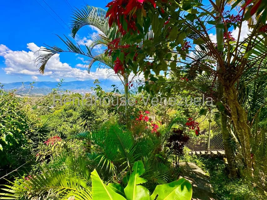 Casa (Multipes Niveles) en Venta en La Peña, Miranda - 24