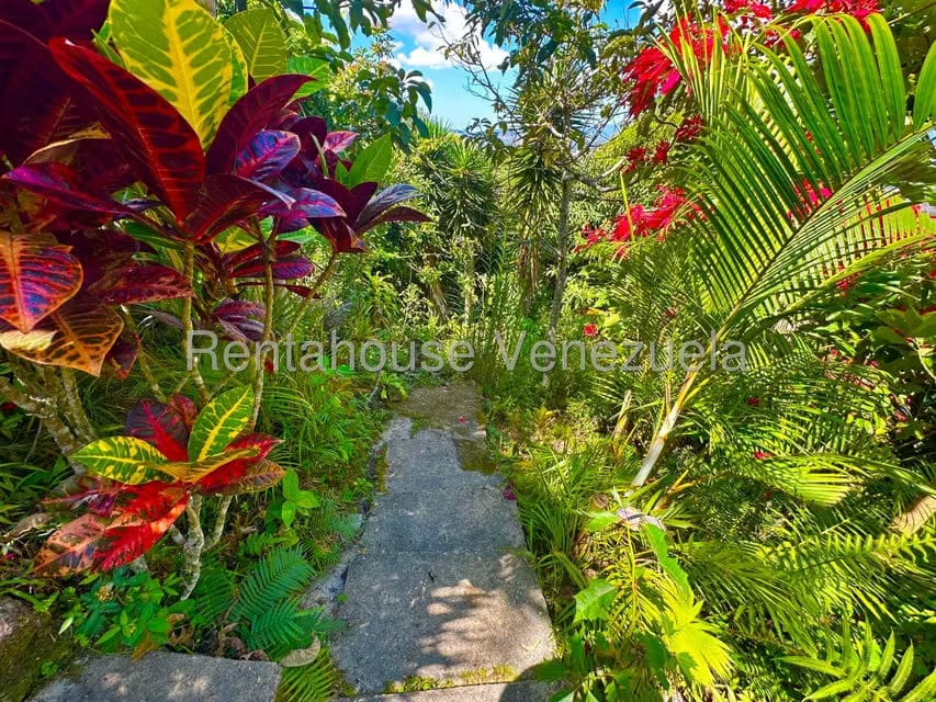 Casa (Multipes Niveles) en Venta en La Peña, Miranda - 25