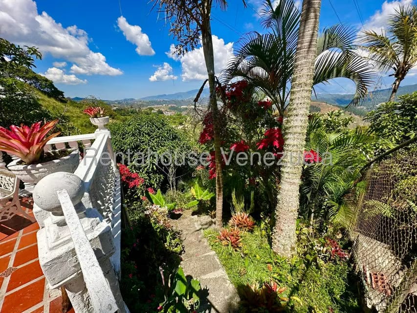 Casa (Multipes Niveles) en Venta en La Peña, Miranda - 6