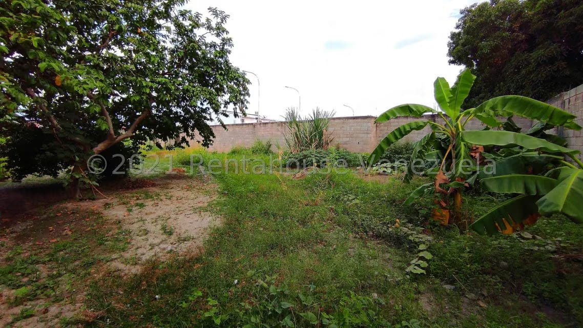 Comercial (Galpon - Deposito) en Venta en La Morita II, Aragua - 67