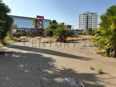 Se vende gran Galpon Local comercial en Av. Delicias. Maracaibo - 5