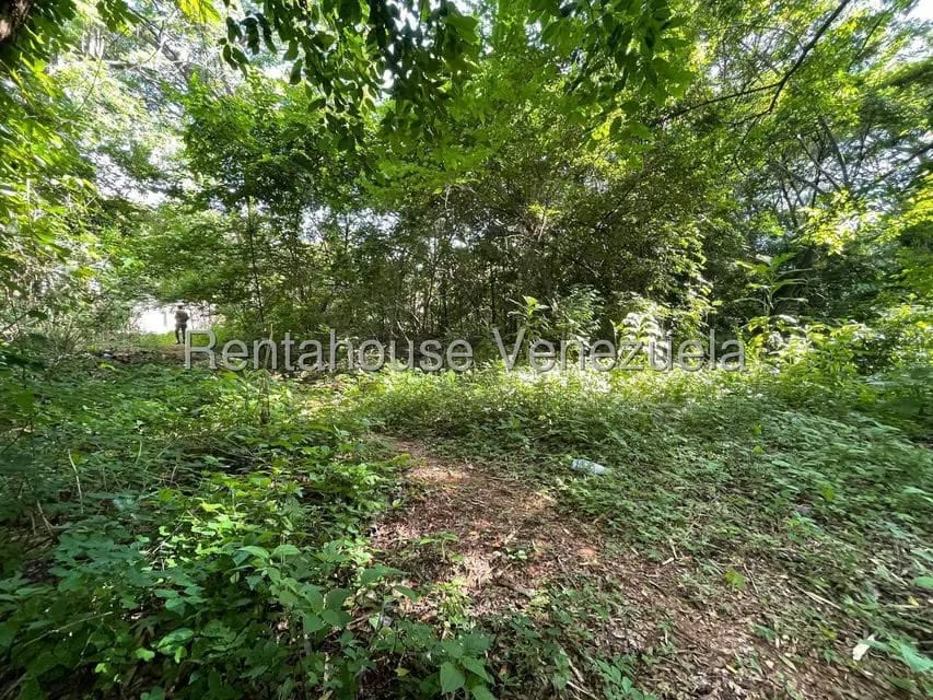 Terreno (Residencial) en Venta en Agua Blanca, Carabobo - 5