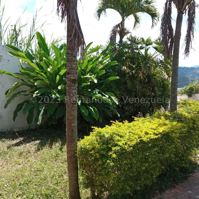 Casa (1 Nivel) en Venta en Oripoto, Distrito Metropolitano - 49