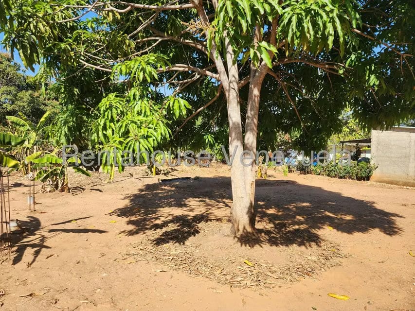 Terreno (Residencial) en Venta en Los Jarales, Carabobo - 3
