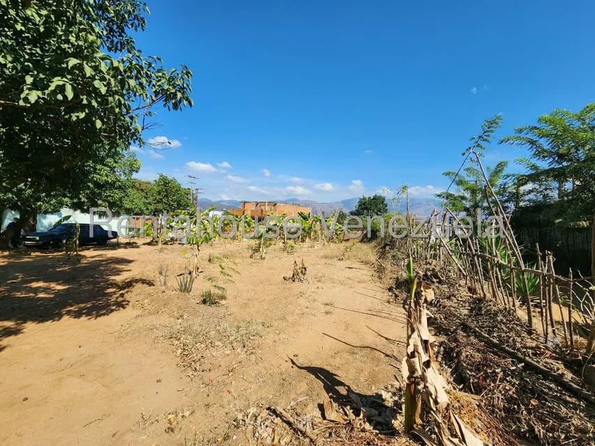 Terreno (Residencial) en Venta en Los Jarales, Carabobo - 8