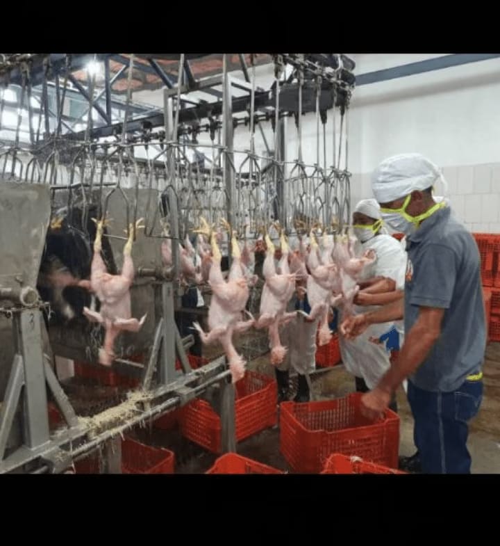SE VENDE FINCA PROCESADORA DE POLLO - 2