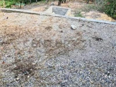 Casa en Conjunto Privado El Manzano - 8