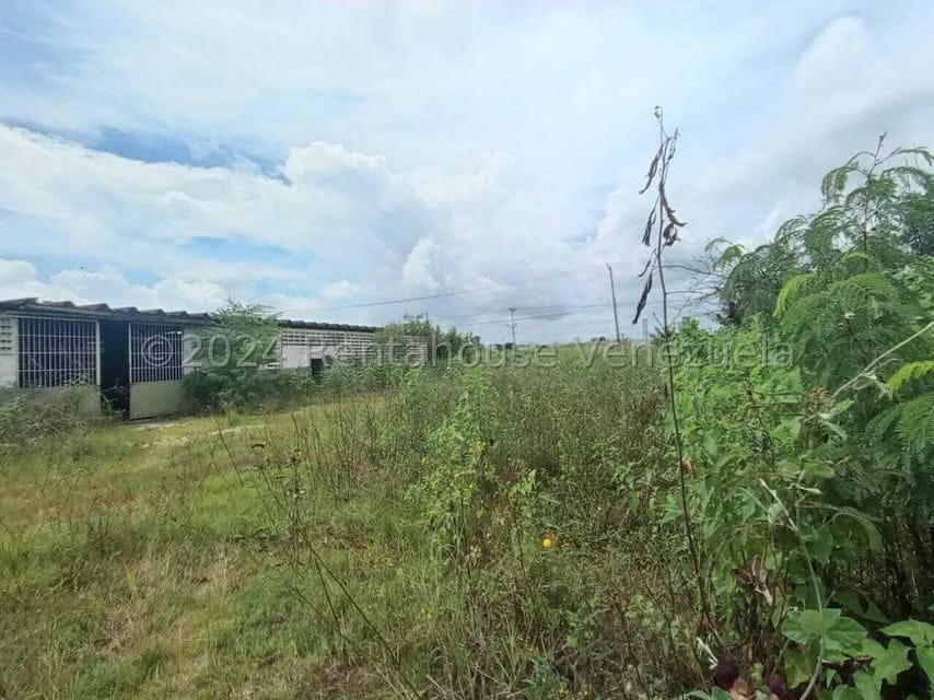 Comercial (Galpon - Deposito) en Venta en Zona Industrial, Carabobo - 49