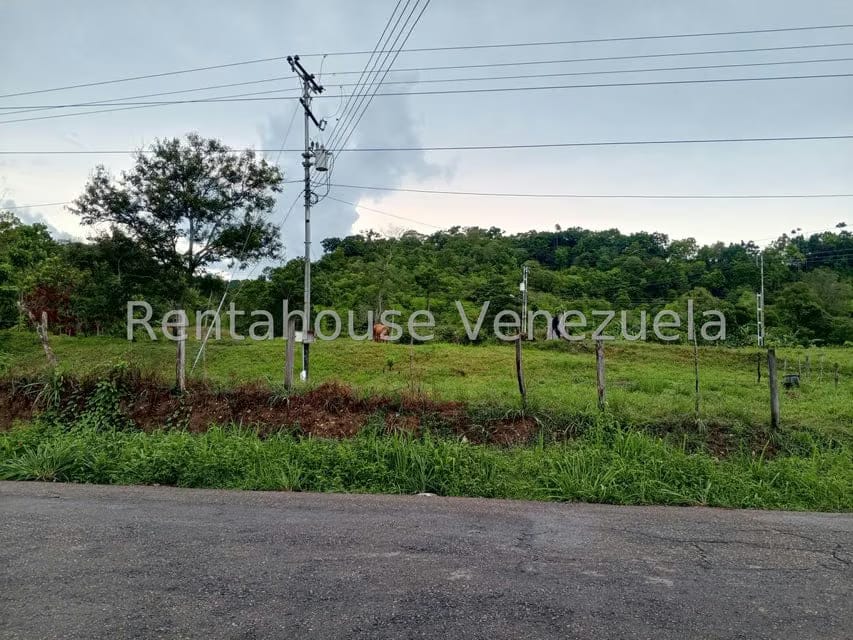 Terreno (Finca) en Venta en Sector Las Pipas, Tachira