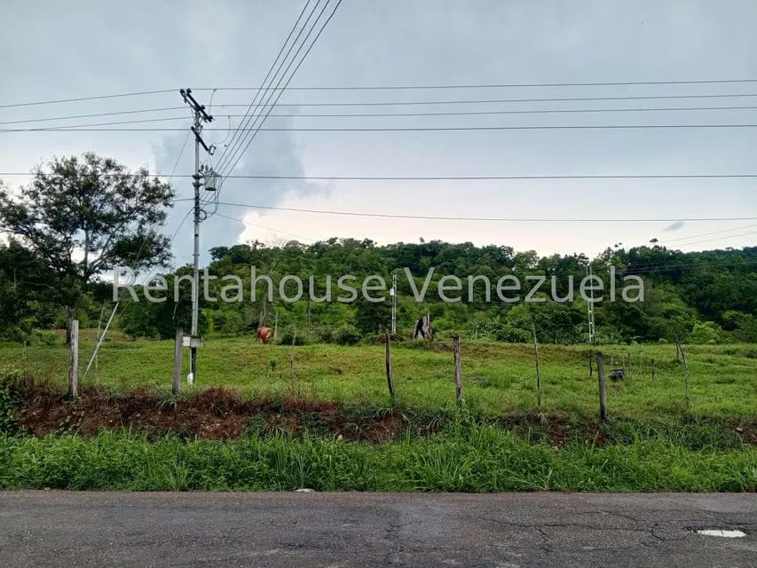 Terreno (Finca) en Venta en Sector Las Pipas, Tachira - 2