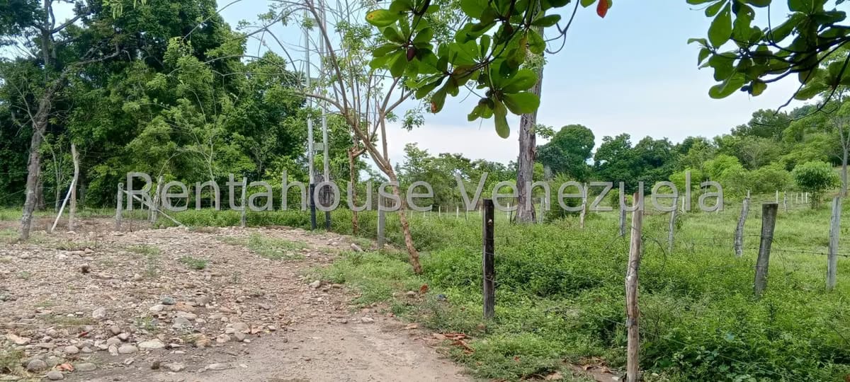 Terreno (Finca) en Venta en Sector Las Pipas, Tachira - 14