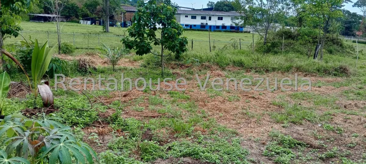 Terreno (Finca) en Venta en Sector Las Pipas, Tachira - 15