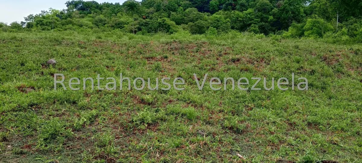 Terreno (Finca) en Venta en Sector Las Pipas, Tachira - 18