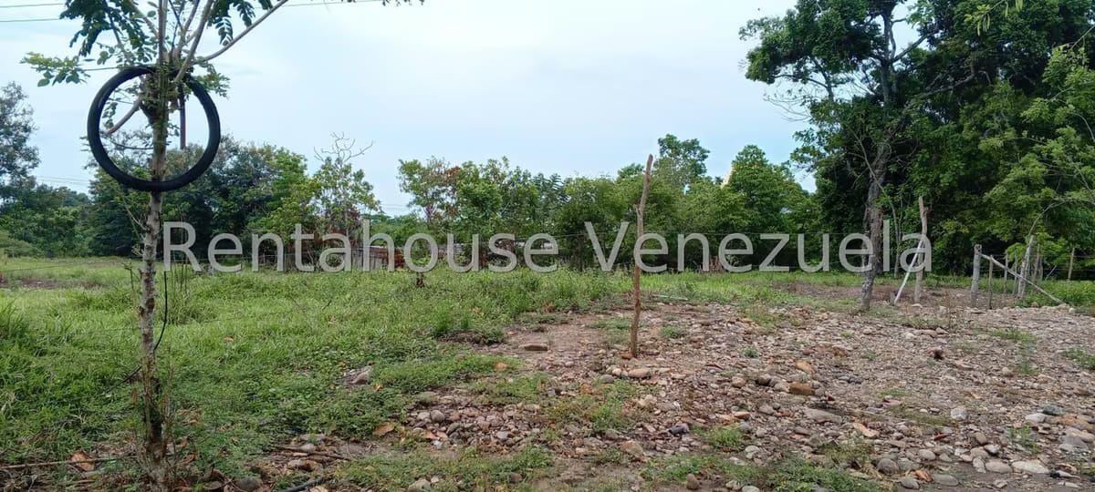 Terreno (Finca) en Venta en Sector Las Pipas, Tachira - 19
