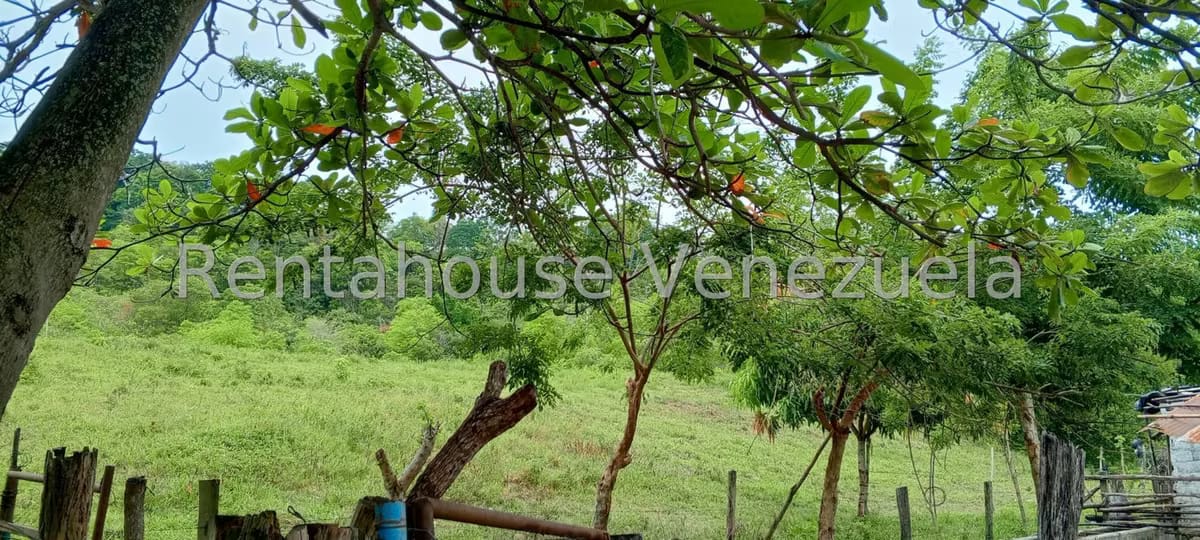 Terreno (Finca) en Venta en Sector Las Pipas, Tachira - 20