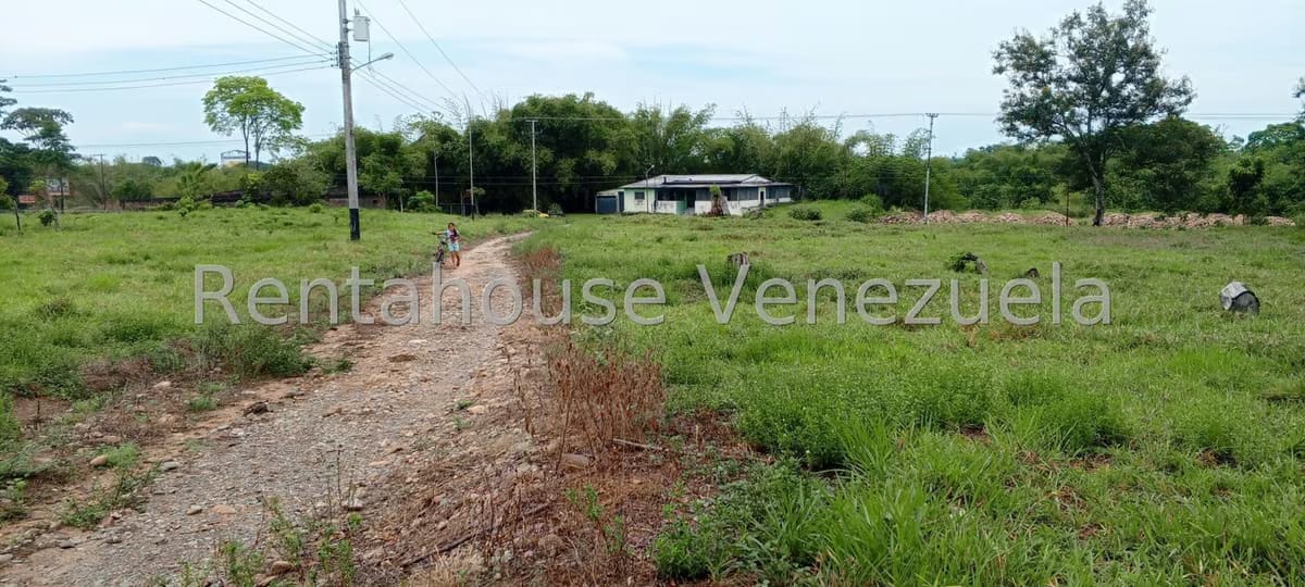 Terreno (Finca) en Venta en Sector Las Pipas, Tachira - 21