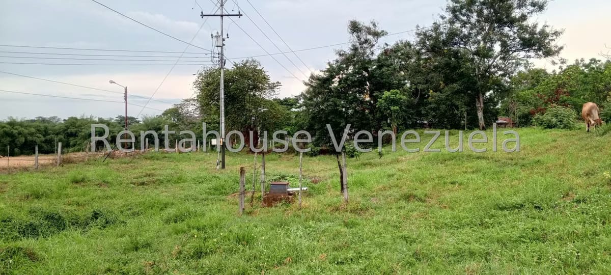 Terreno (Finca) en Venta en Sector Las Pipas, Tachira - 5