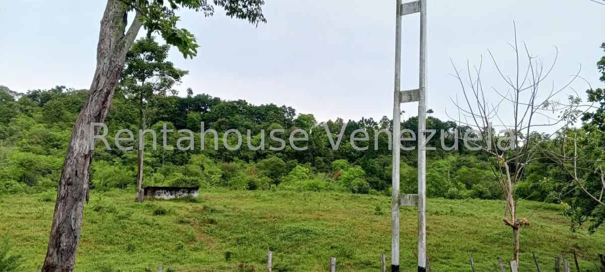 Terreno (Finca) en Venta en Sector Las Pipas, Tachira - 10