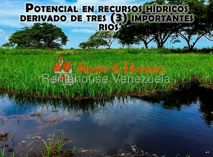 Terreno (Finca) en Venta en Sector Marhuanta, Bolivar - 3