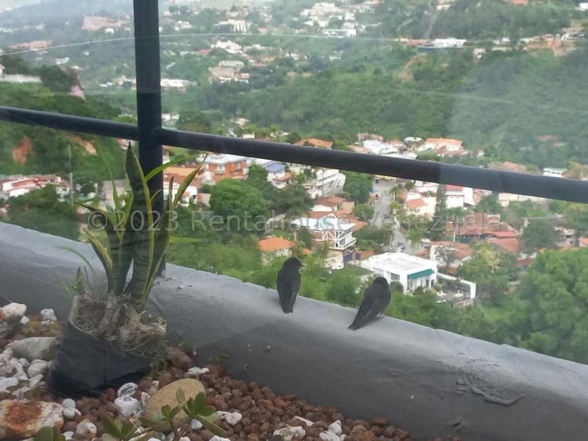 Apartamento (Duplex) en Venta en Lomas del Mirador, Distrito Metropolitano - 28