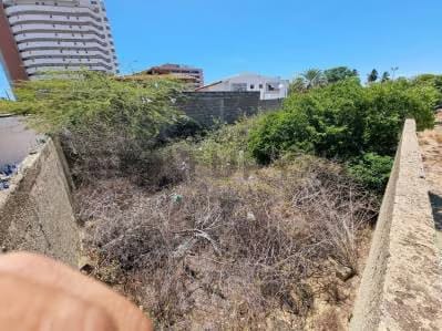 ubicacion inbaltible> terreno a pasos de la playa en el paseo de porlamar - 2