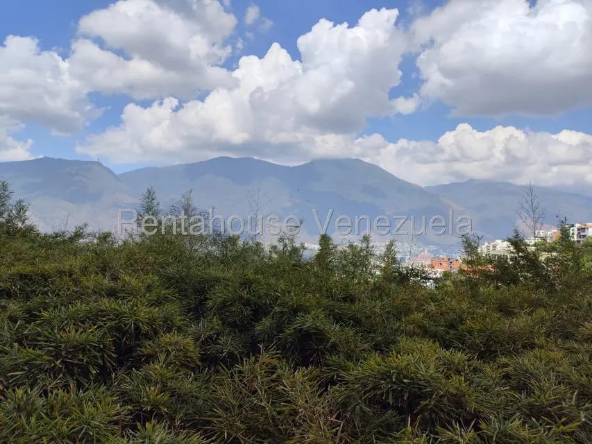 Apartamento (1 Nivel) en Alquiler en Colinas de Bello Monte, Distrito Metropolitano - 25